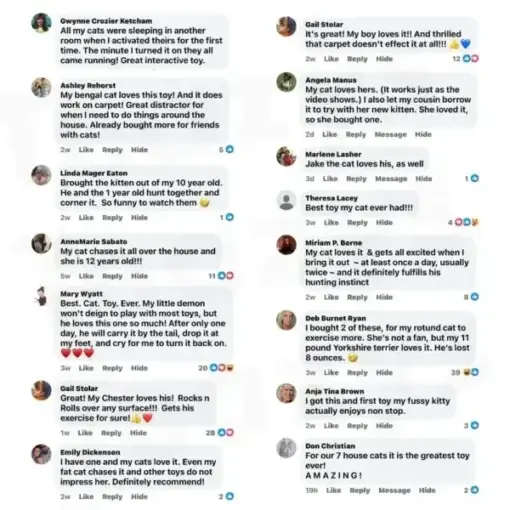 NESLEMY™ SPEEDY TAIL 2.0