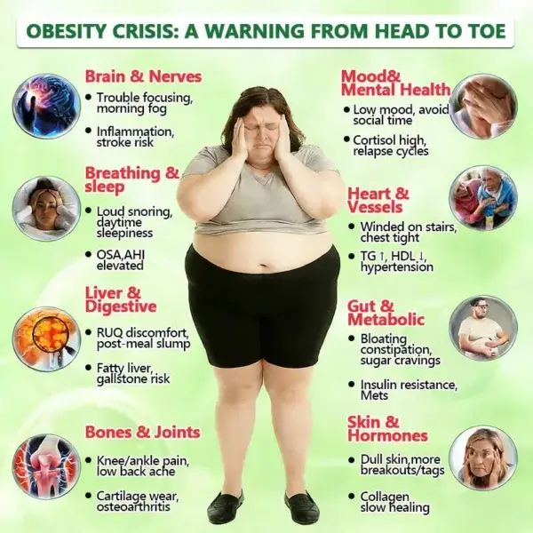 ๐ด๐ผ๐น๐พ๐ถ๐ตยฎ ๐๐ฒ๐ฟ๐ฏ๐ฒ๐ฟ๐ถ๐ป๐ฒ ๐๐-๐ข๐ง-๐ ๐ก๐ฎ๐ป๐ผ ๐ ๐ถ๐ฐ๐ฟ๐ผ๐ป๐ฒ๐ฒ๐ฑ๐น๐ฒ ๐ฃ๐ฎ๐๐ฐ๐ต