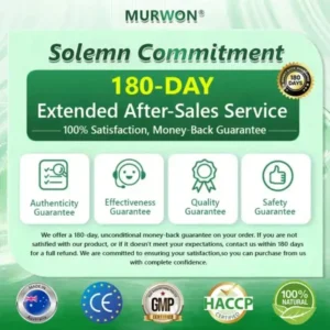 ๐ด๐ผ๐น๐พ๐ถ๐ตยฎ ๐๐ฒ๐ฟ๐ฏ๐ฒ๐ฟ๐ถ๐ป๐ฒ ๐๐-๐ข๐ง-๐ ๐ก๐ฎ๐ป๐ผ ๐ ๐ถ๐ฐ๐ฟ๐ผ๐ป๐ฒ๐ฒ๐ฑ๐น๐ฒ ๐ฃ๐ฎ๐๐ฐ๐ต