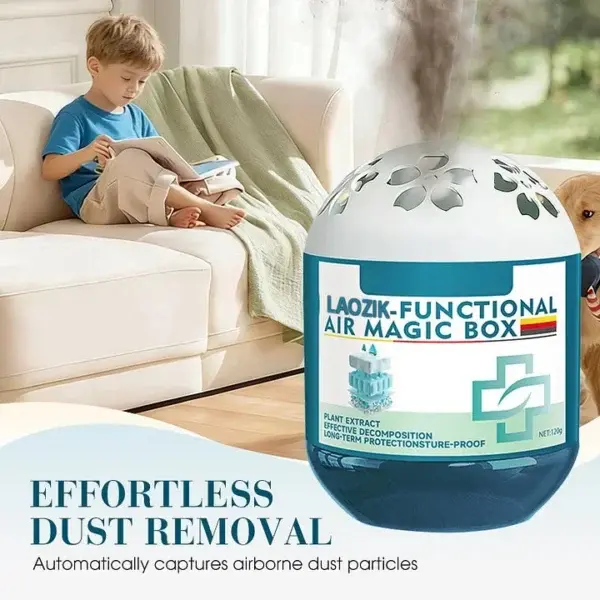 LAOZIK Indoor Air Purification Dust Removal Magic Box