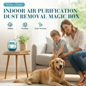 LAOZIK Indoor Air Purification Dust Removal Magic Box