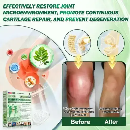 LOVILDSโข Moringa Berberine ร NAD+ ๐๐-๐ข๐ง-๐ ๐๐๐ฏ๐๐ง๐๐๐ ๐๐๐ง๐จ ๐๐ข๐๐ซ๐จ๐ง๐๐๐๐ฅ๐ ๐๐๐ญ๐๐ก