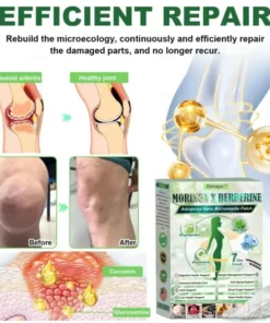 Alternative view of Genayu®️ MORINGA+BERBERINE Advenaced Nano Microneedle Patch